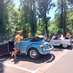 belle viree location auto retro teambuilding 2