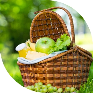 panier pique-nique gourmand bio